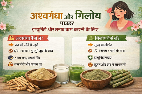 अश्वगंधा और गिलोय पाउडर – इम्यूनिटी और तनाव कम करने के लिए